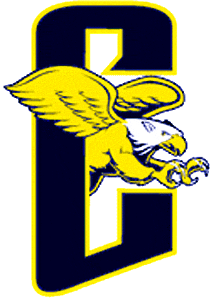 Canisius Golden Griffins 1999-2005 Alternate Logo t shirts iron on transfers